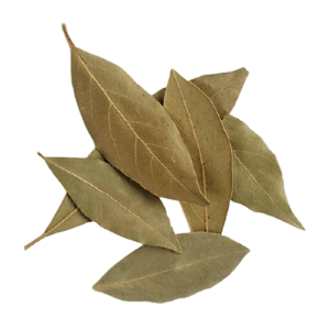 Organic – Bay Leaf | Biryani Leaf