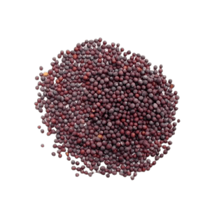 Organic – Black Mustard | Kadugu | Sasive