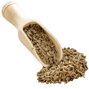 Organic Cumin | Jeera | Seragam