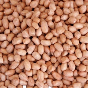 Organic – Raw Peanuts | Groundnut | Verkadalai