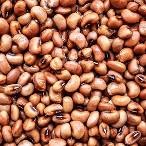 Organic – Red Lobia | Karamani