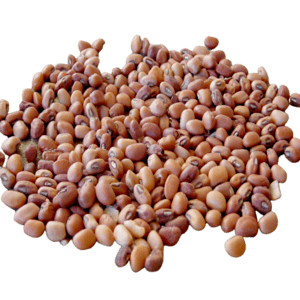 Organic – Red Lobia | Karamani