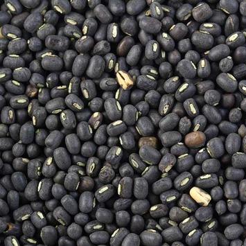 Organic - Urad Black | Full Black Ulutham Paruppu