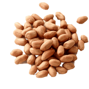 Roasted Groundnut | Peanuts | Verkadalai