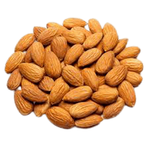 Organic – Almond | Badam