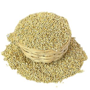 Organic - Kambu -Bajra Wild - Pearl Millet